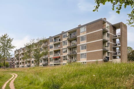 Bowierstraat thumbnail