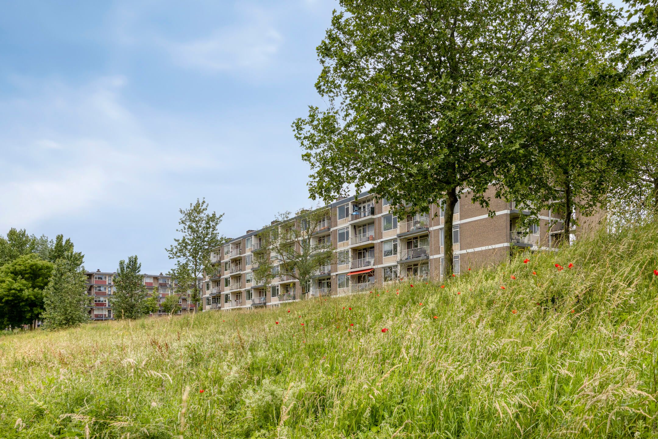 Photo 36 of Bowierstraat 87