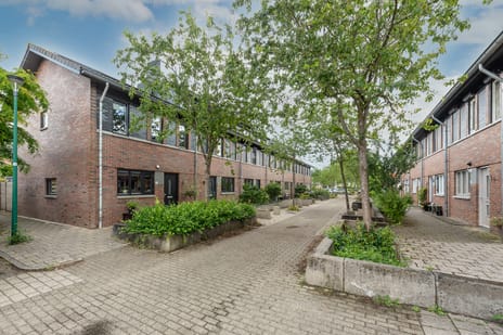 Kastanjehout thumbnail