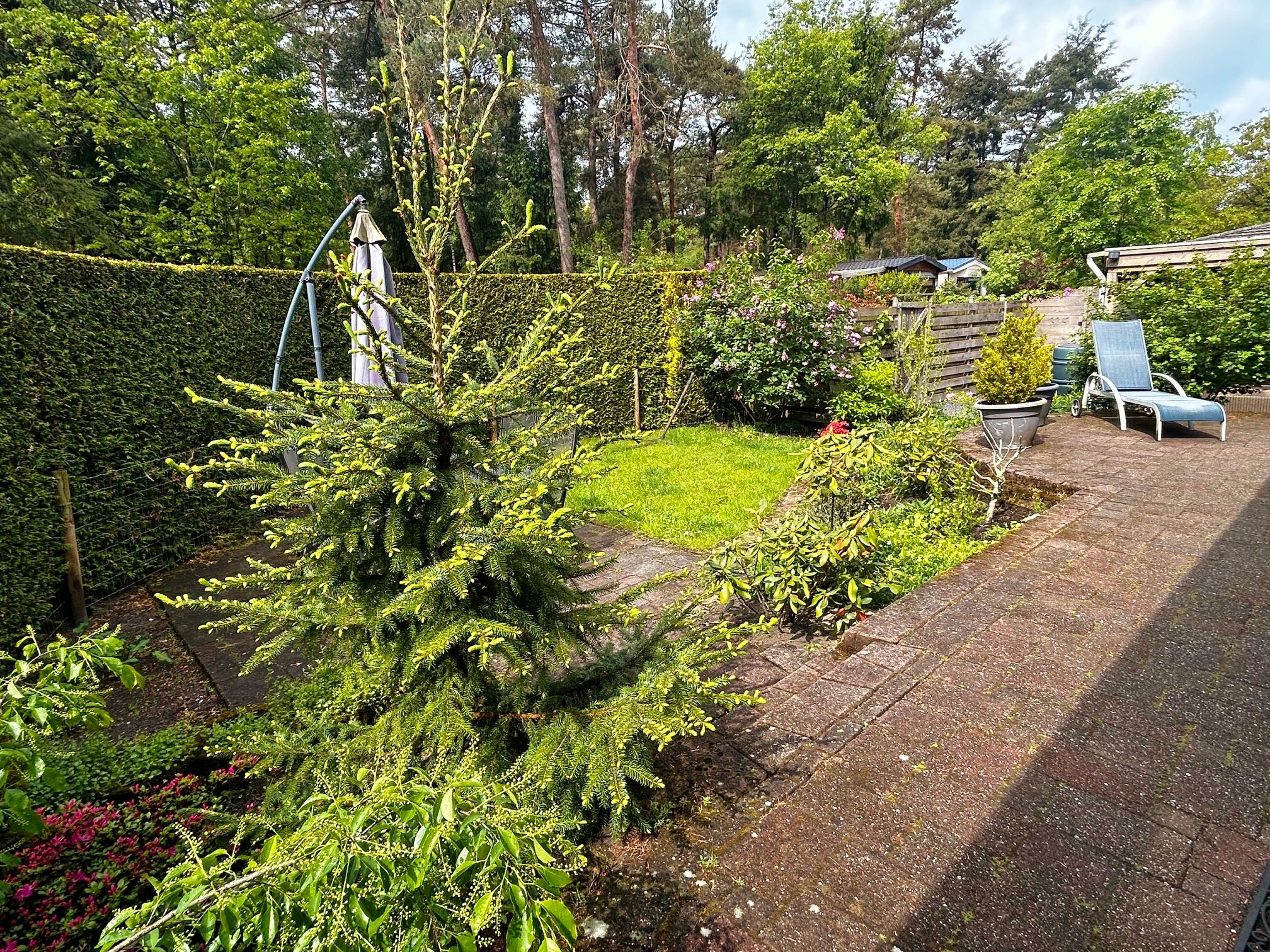2-bedroom freehold villa in Doornspijk — photo 2 of 5