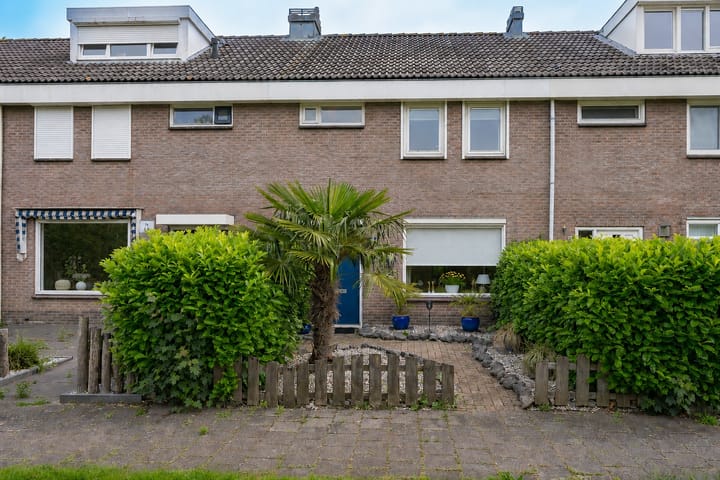 Foto 5 van Punterstraat 55