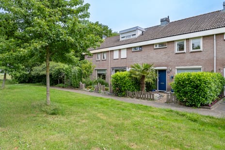 Punterstraat thumbnail