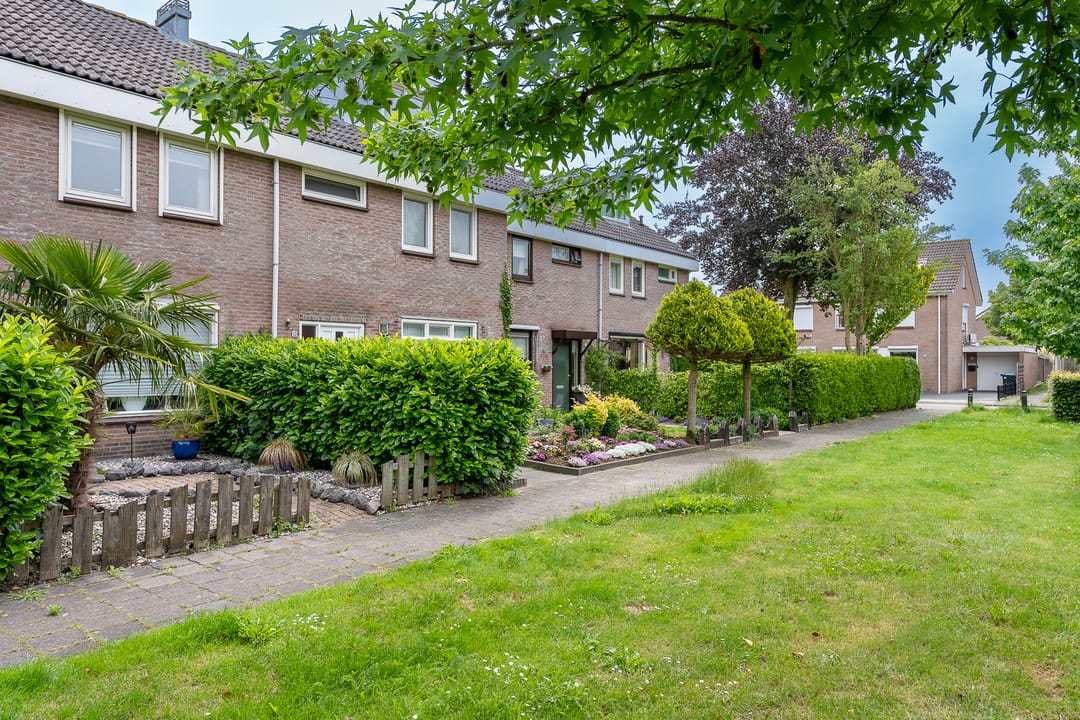 Photo 46 of Punterstraat 55