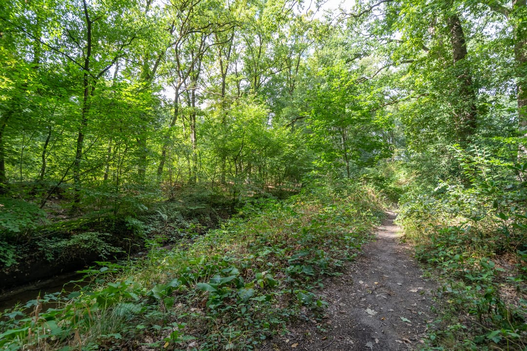 Foto 47 van Watermolenweg 2-BZ