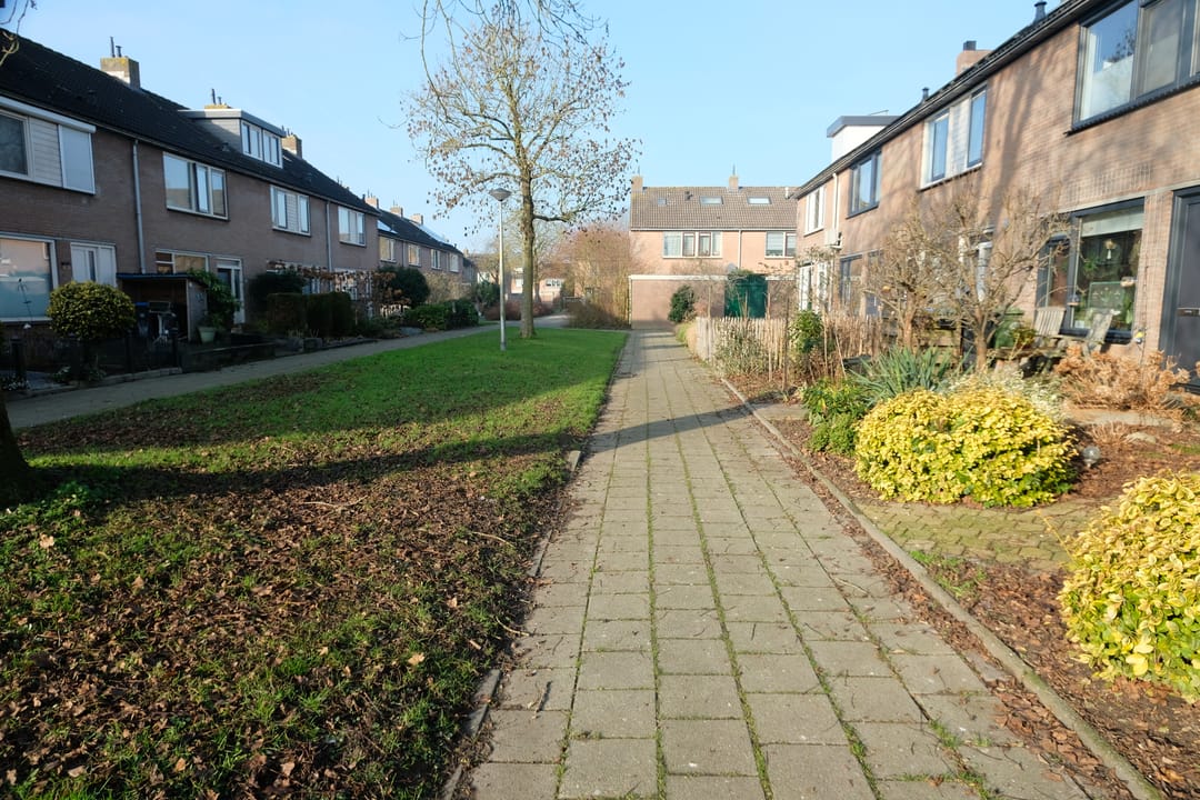 Photo 13 of Korenbloem 27