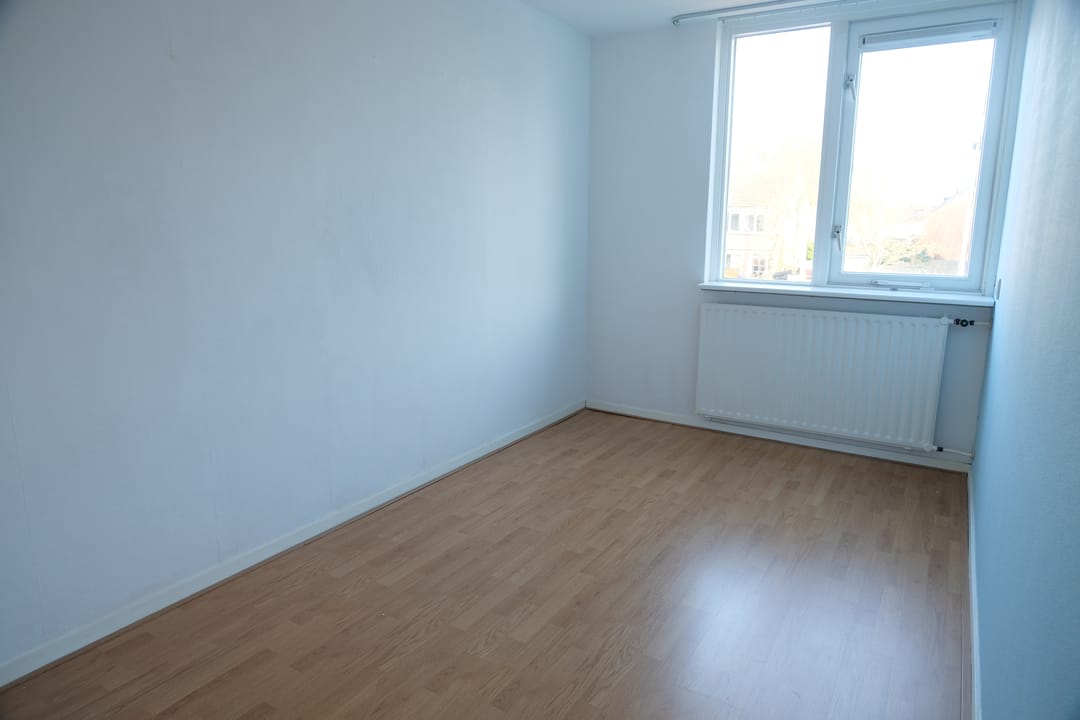Photo 7 of Korenbloem 27