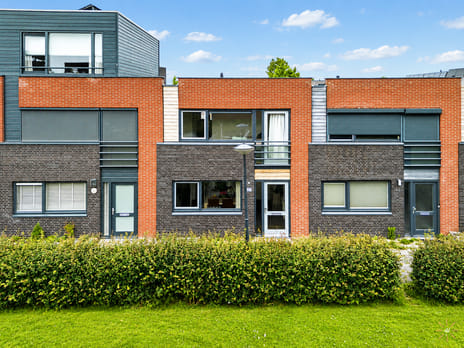 Tuin van Halo thumbnail