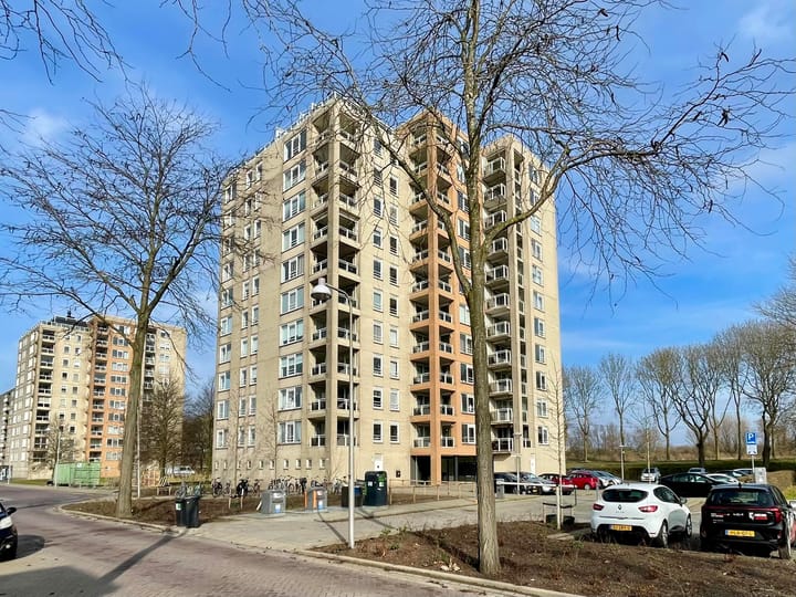 Foto 2 van Hermelijnvlinder 9