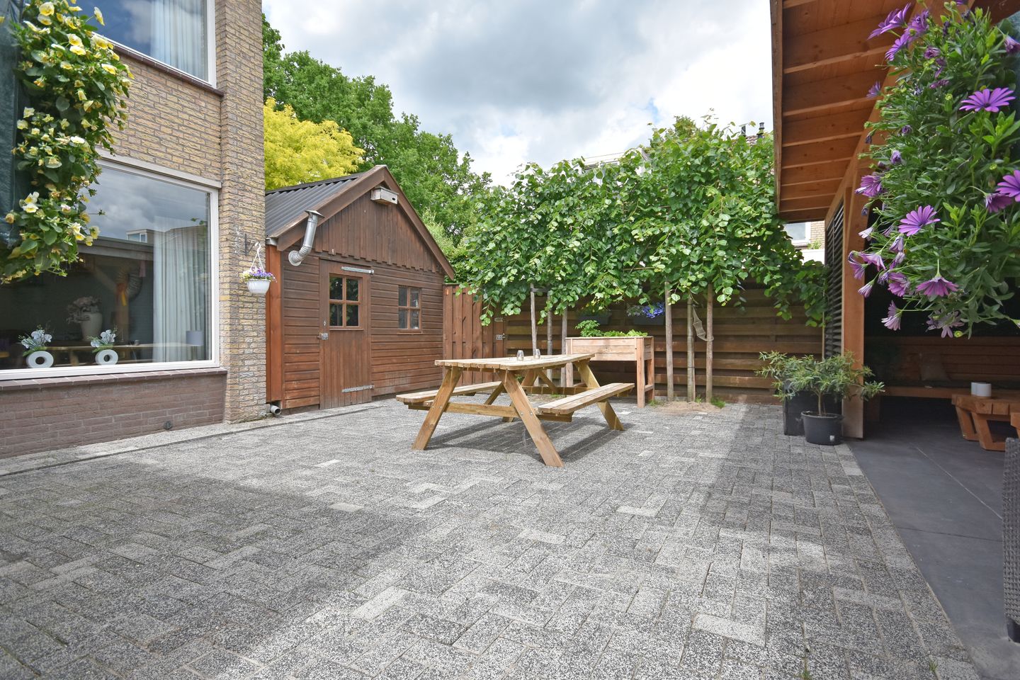 Foto 10 van De Petten 1