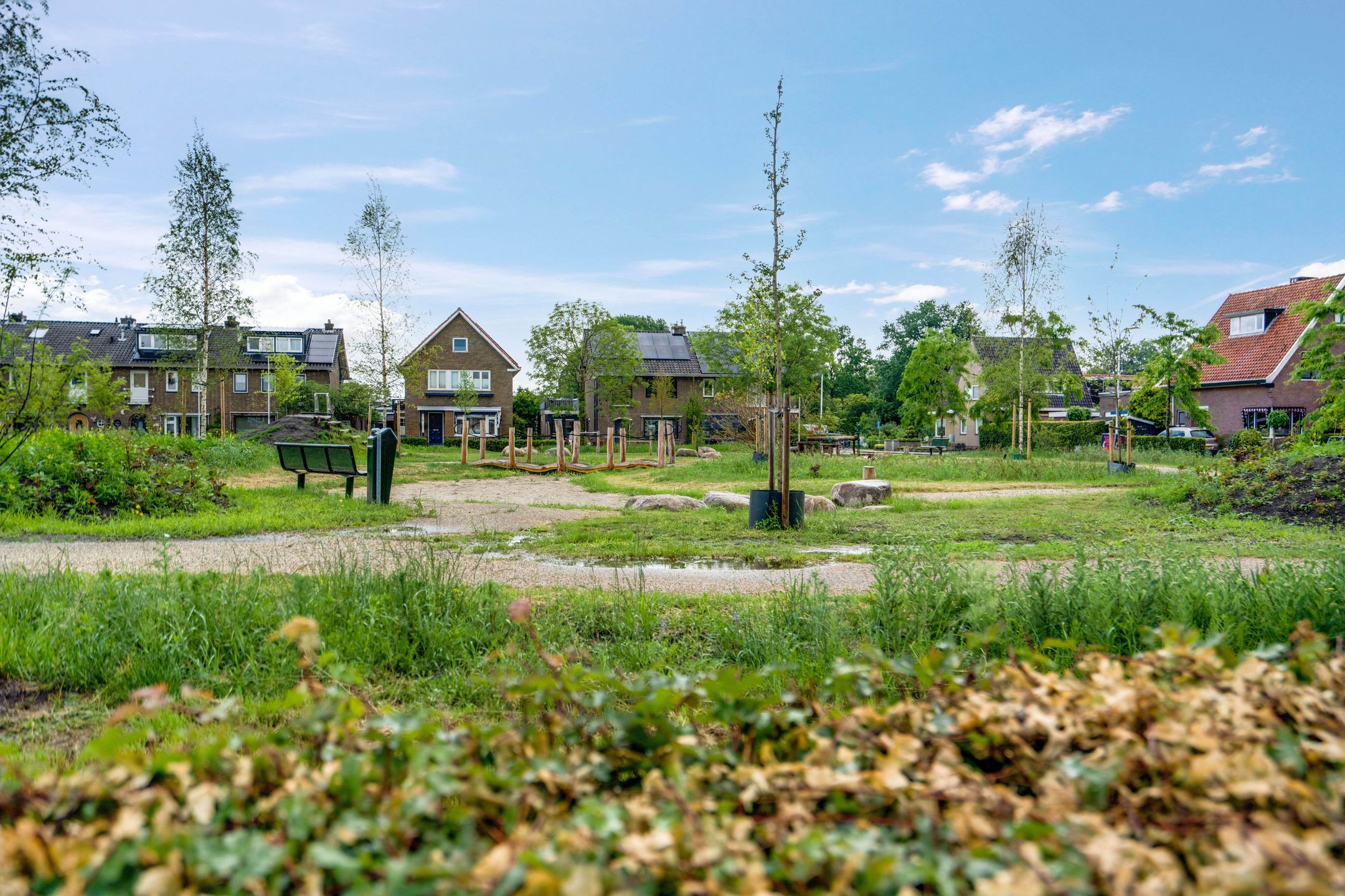 Photo 6 of Berkenlaan 19
