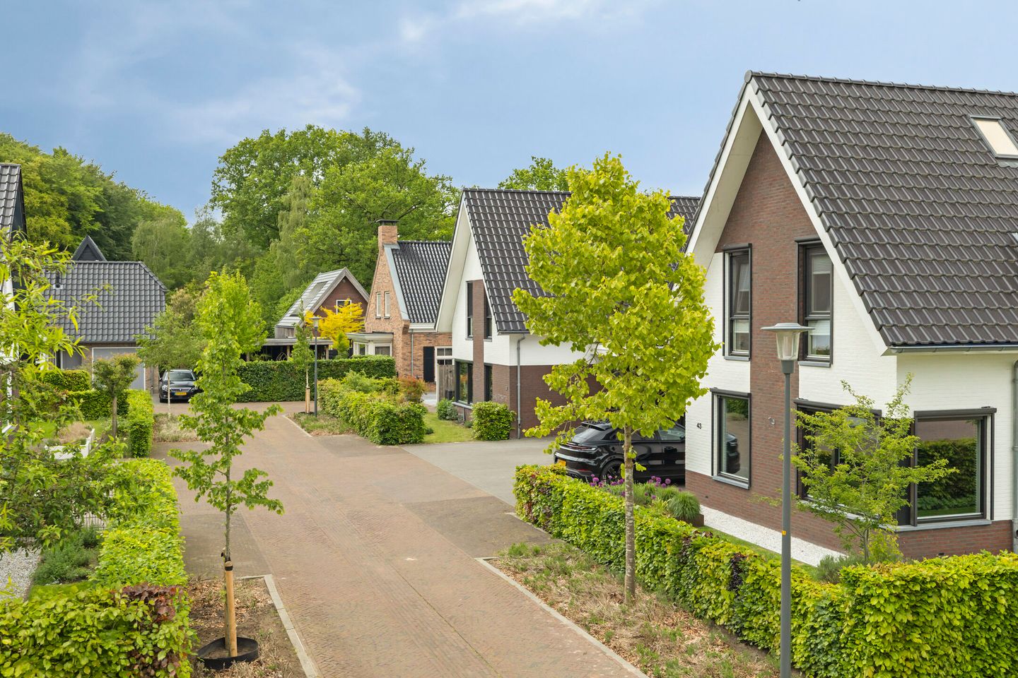 Foto 5 van Meelzolder 41
