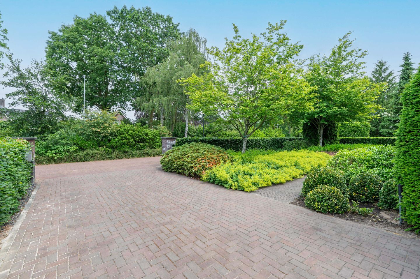 Foto 5 van Sprielderhout 6