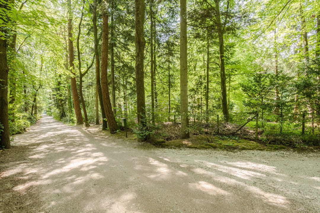 Photo 7 of Oude Elburgerweg 1