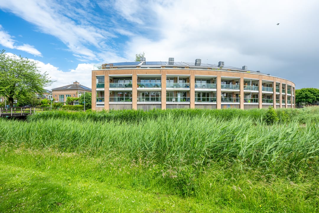 Foto 41 van Zomervlinderberm 18