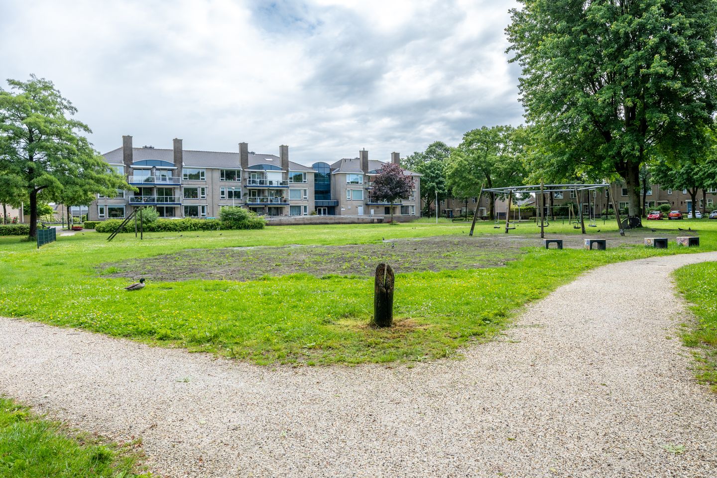 Foto 44 van Zomervlinderberm 18