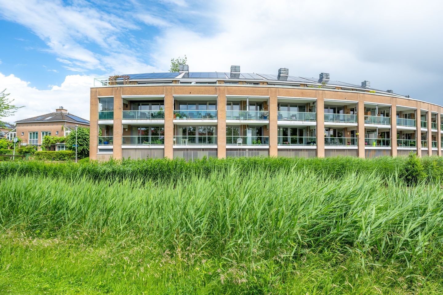 Foto 40 van Zomervlinderberm 18