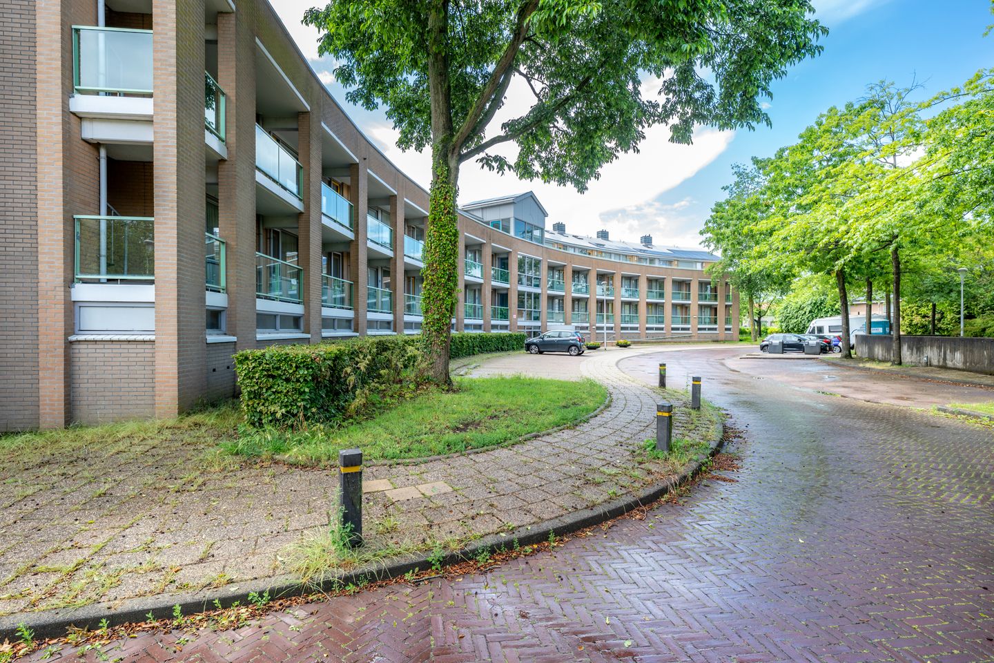Foto 49 van Zomervlinderberm 18