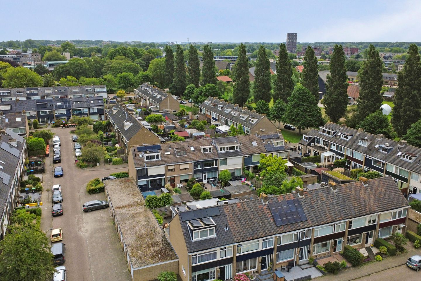 Photo 44 of Gerard Doustraat 8