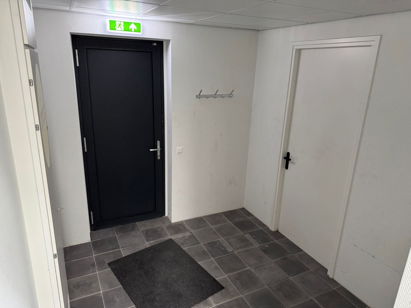 Bekijk foto 4 van Gedeputeerde Laanweg 41-D