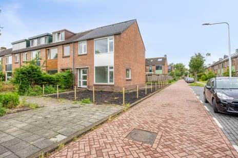 Mimosastraat thumbnail