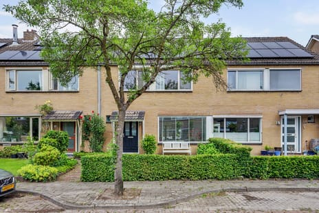 Kampioenstraat thumbnail