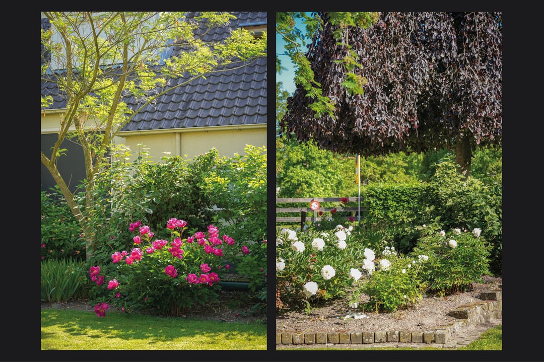 Photo 62 of Kerkstraat 31