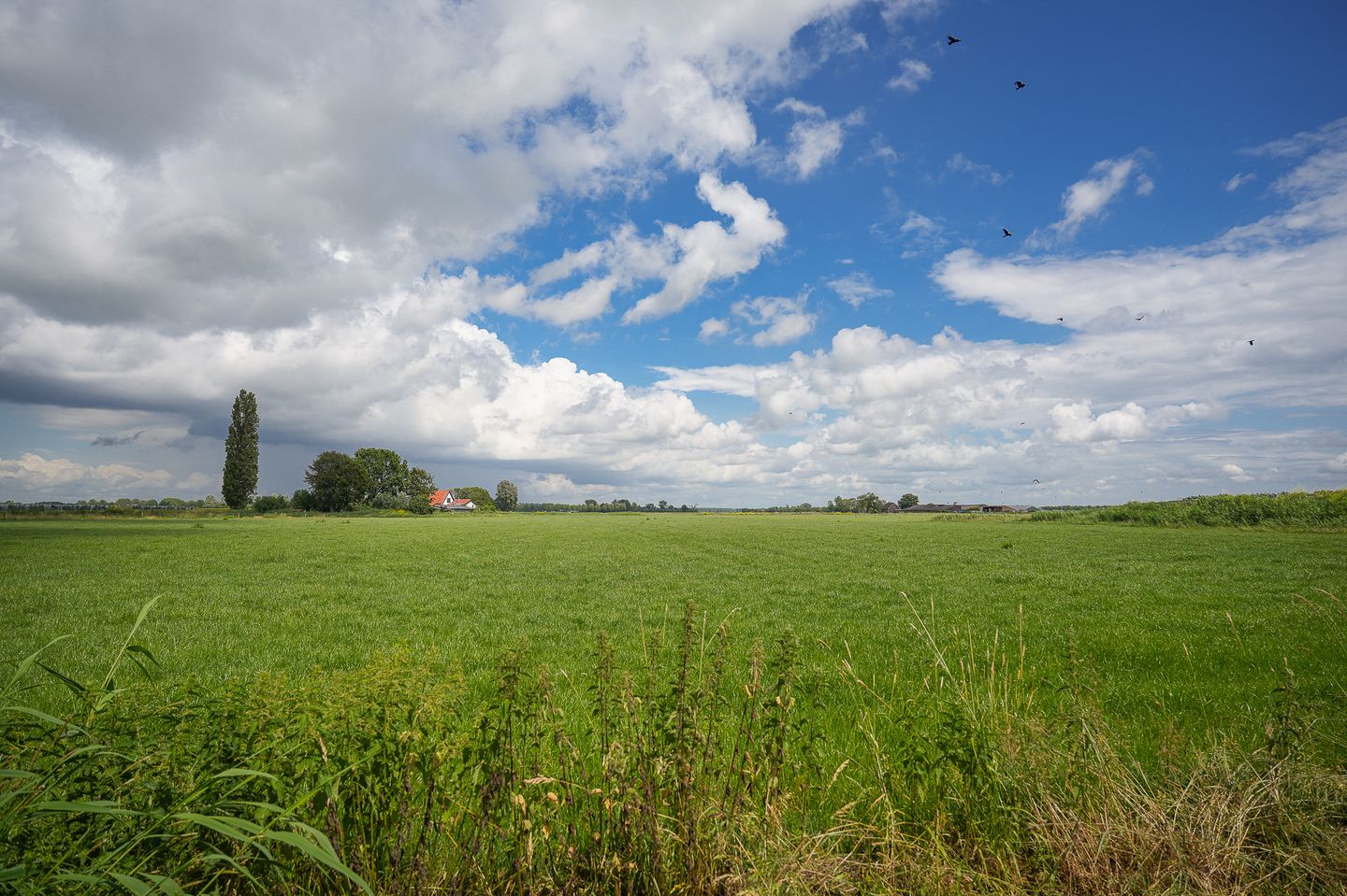 Photo 44 of Kooimolenweg 21