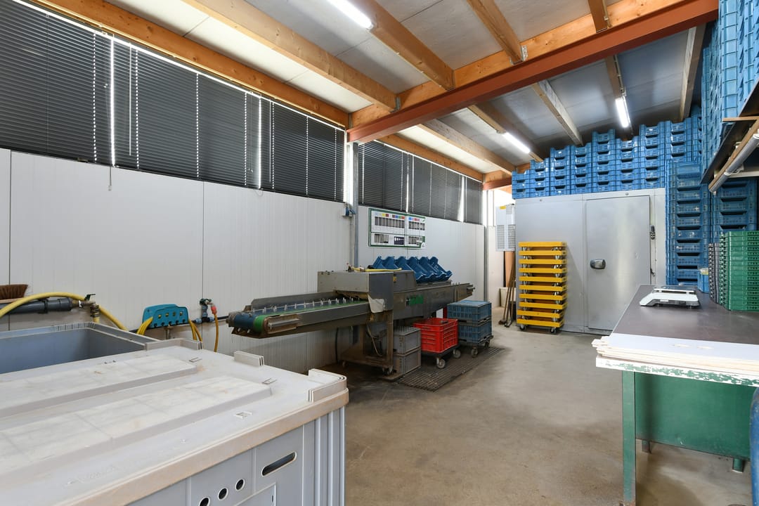 Photo 58 of Bakhuisweg 3-A