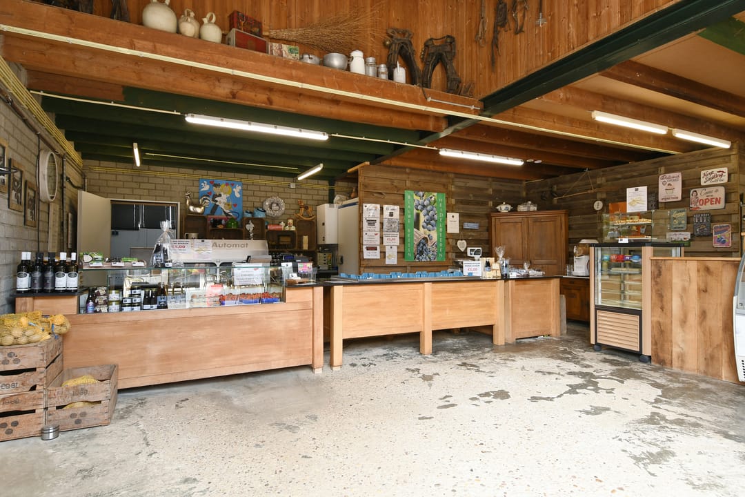Photo 46 of Bakhuisweg 3-A