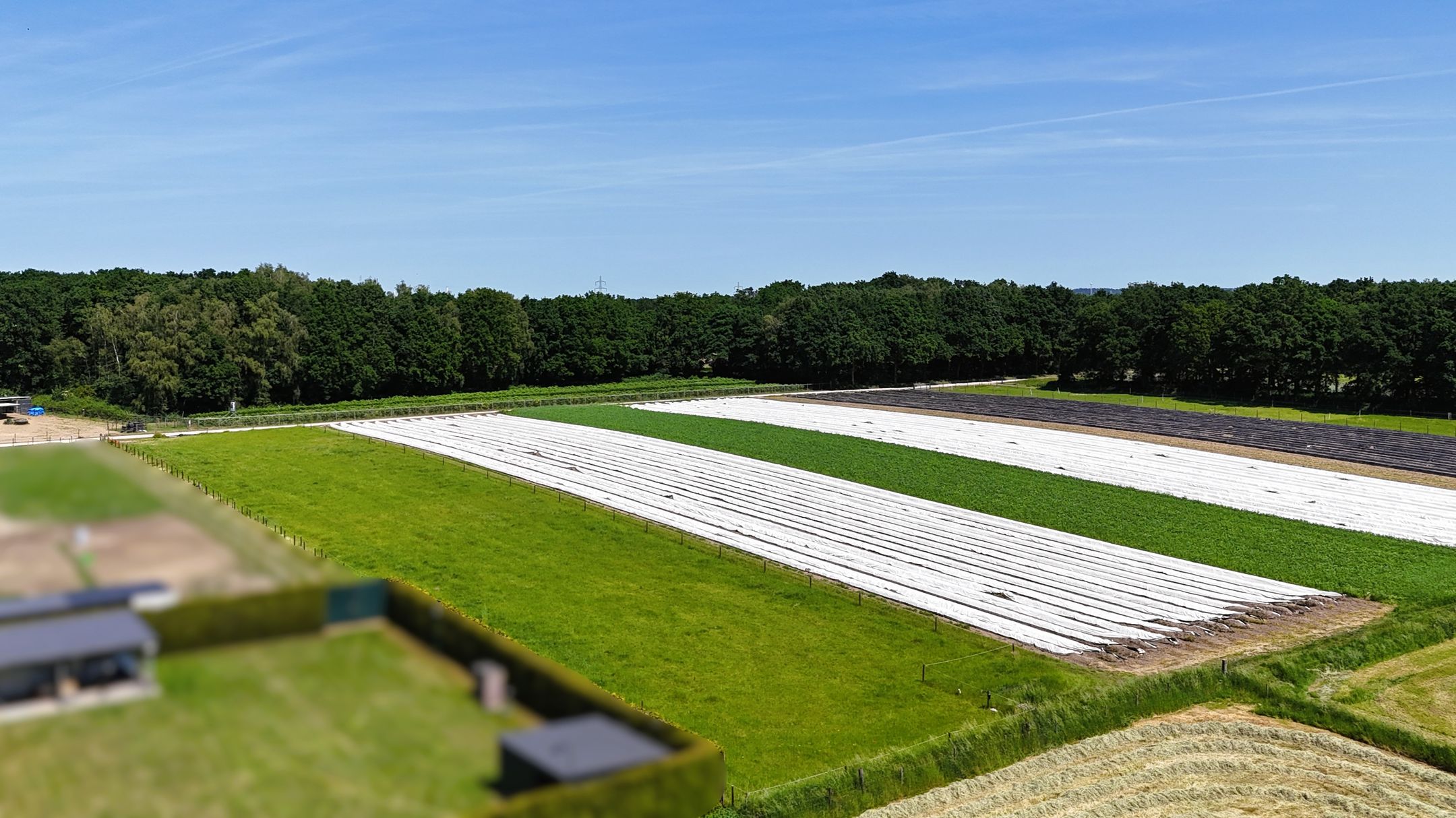 Photo 81 of Bakhuisweg 3-A