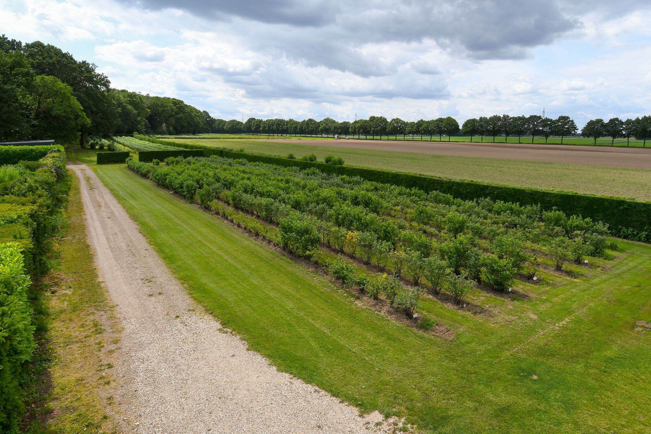 Photo 78 of Bakhuisweg 3-A