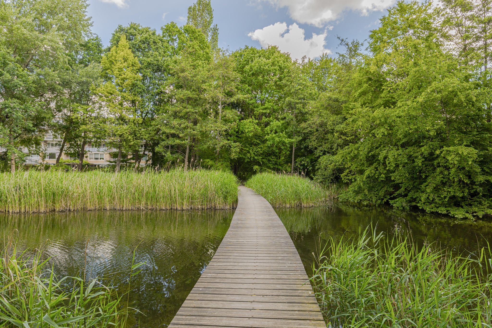 Photo 36 of Maarten Lutherweg 18