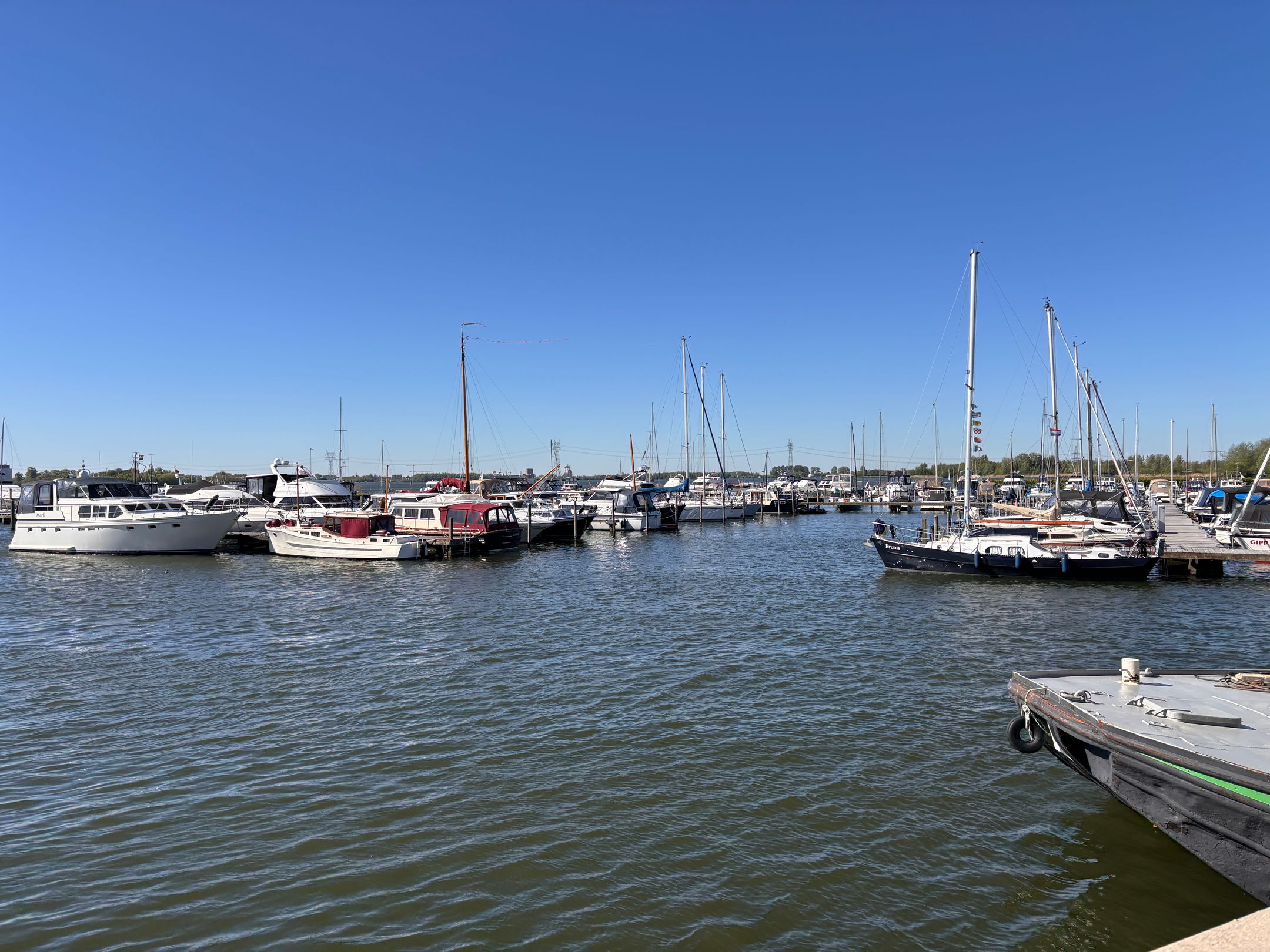 Foto 12 van Zuiderzee op Zuid 136