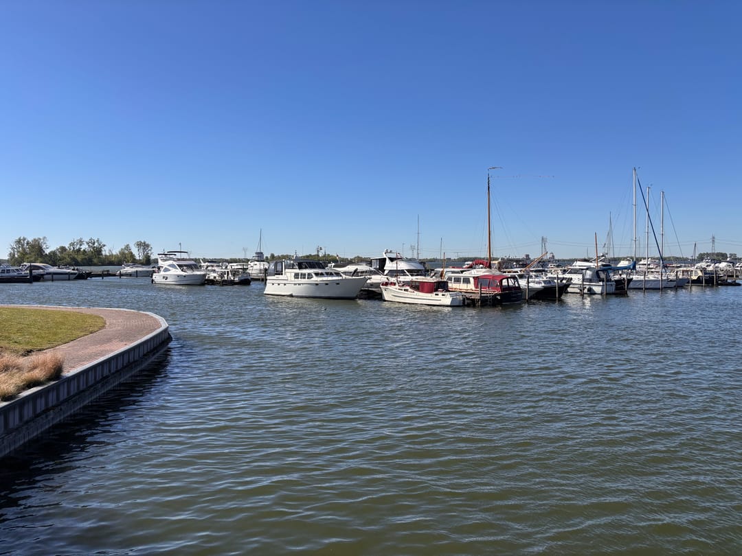 Foto 11 van Zuiderzee op Zuid 136