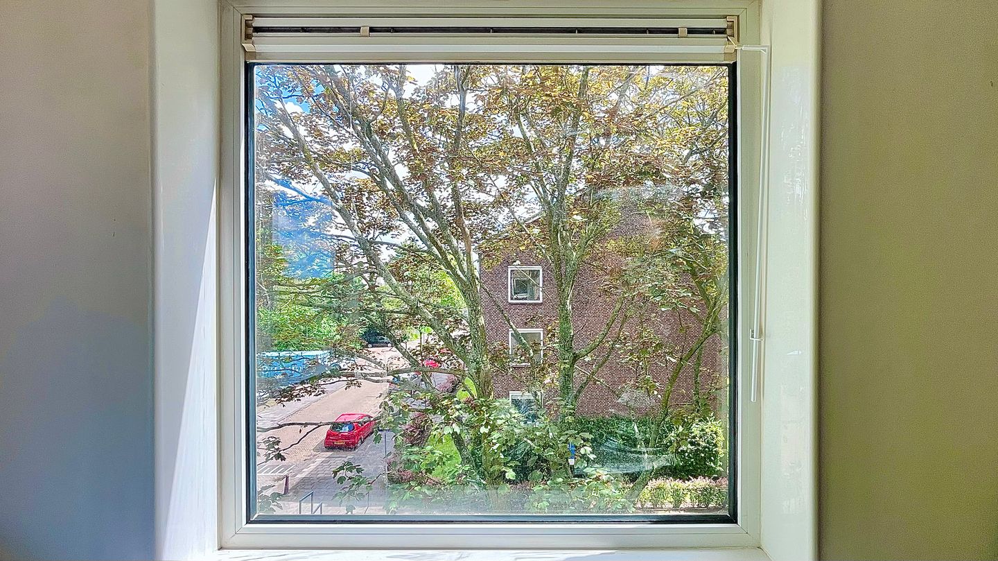 Photo 10 of Tulpstraat 20