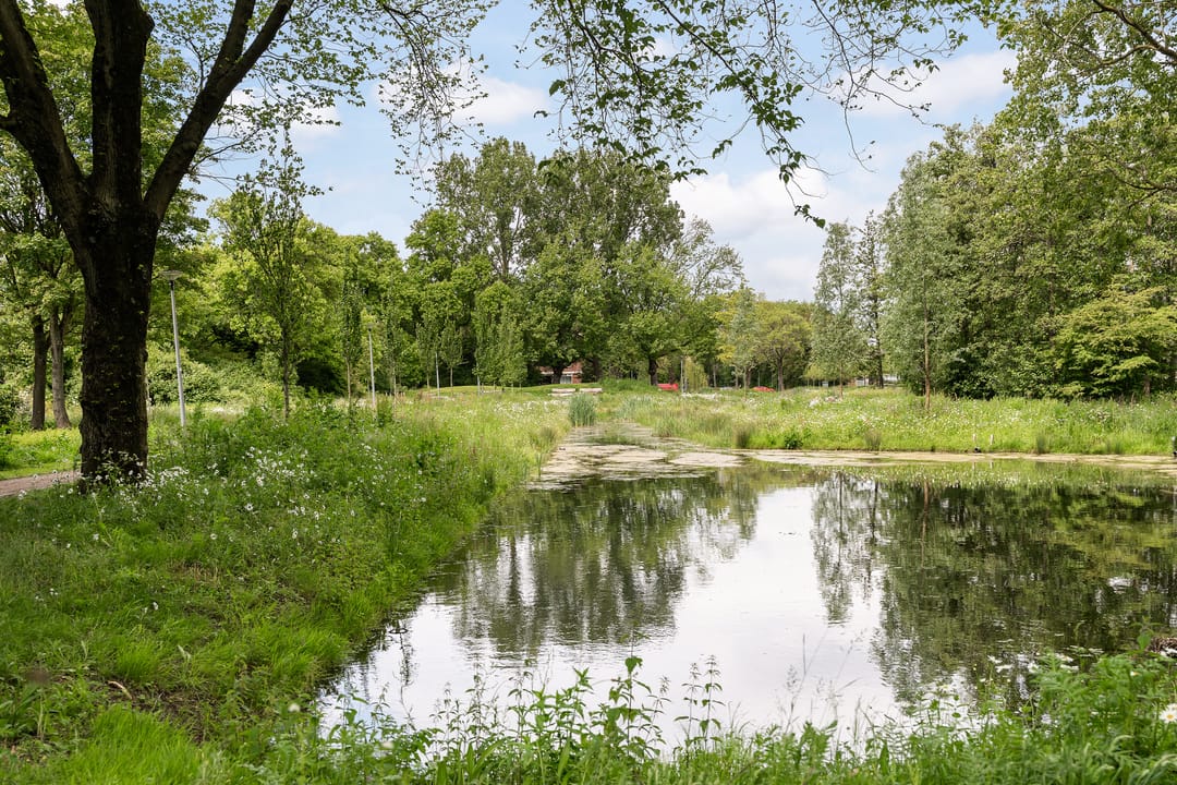 Foto 43 van Optenoord 8
