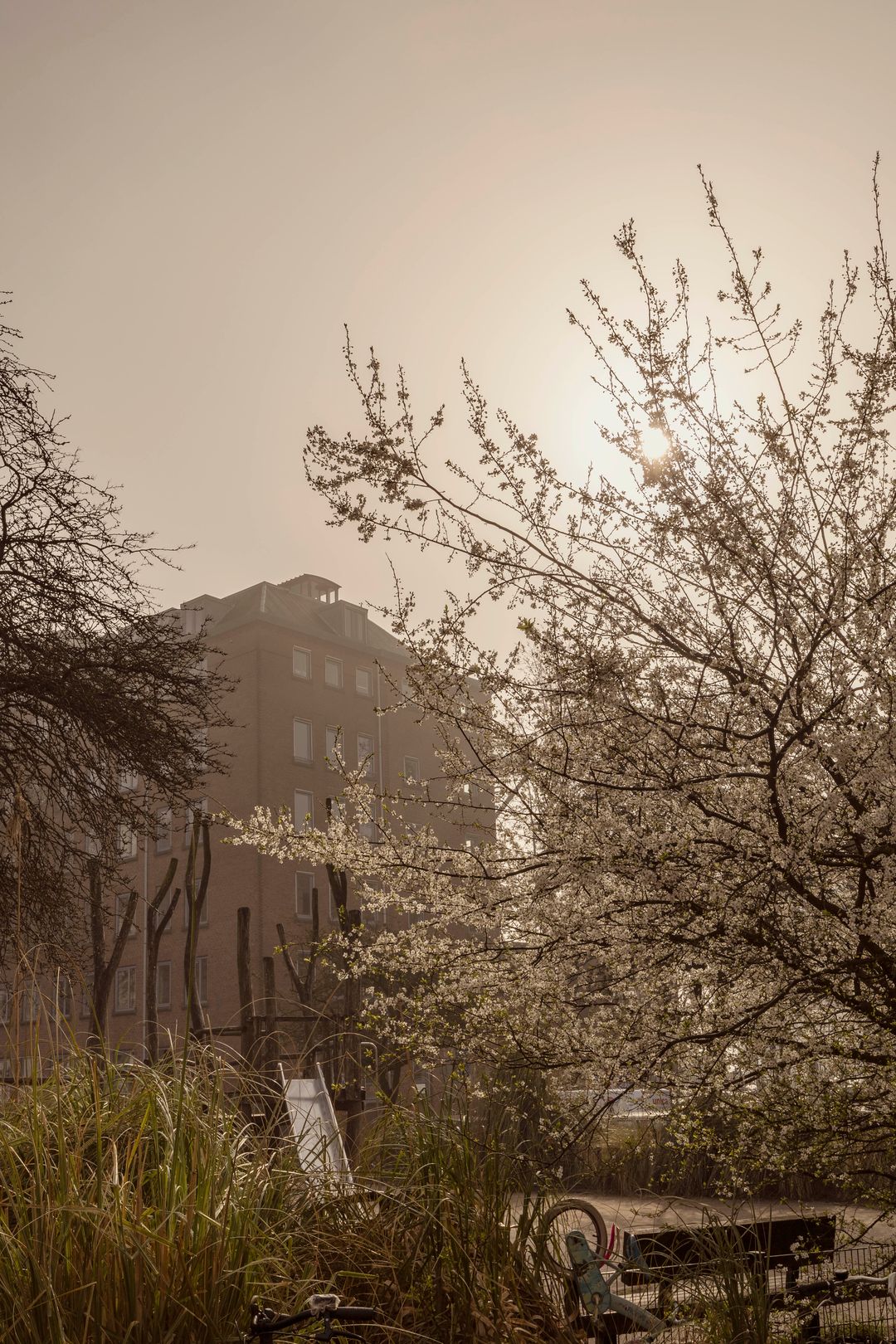 Photo 28 of Van Neckstraat 33