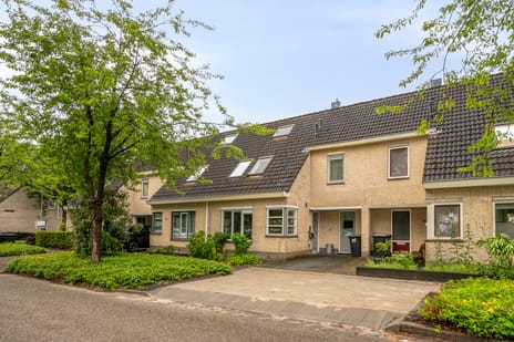 Luipaardweg thumbnail