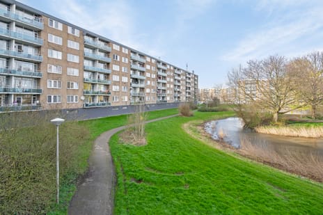 Plutostraat thumbnail