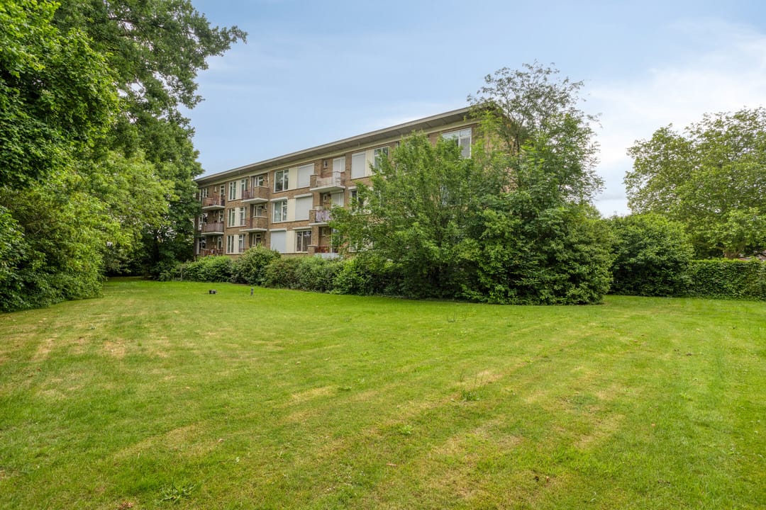 Photo 28 of Hambeek 74