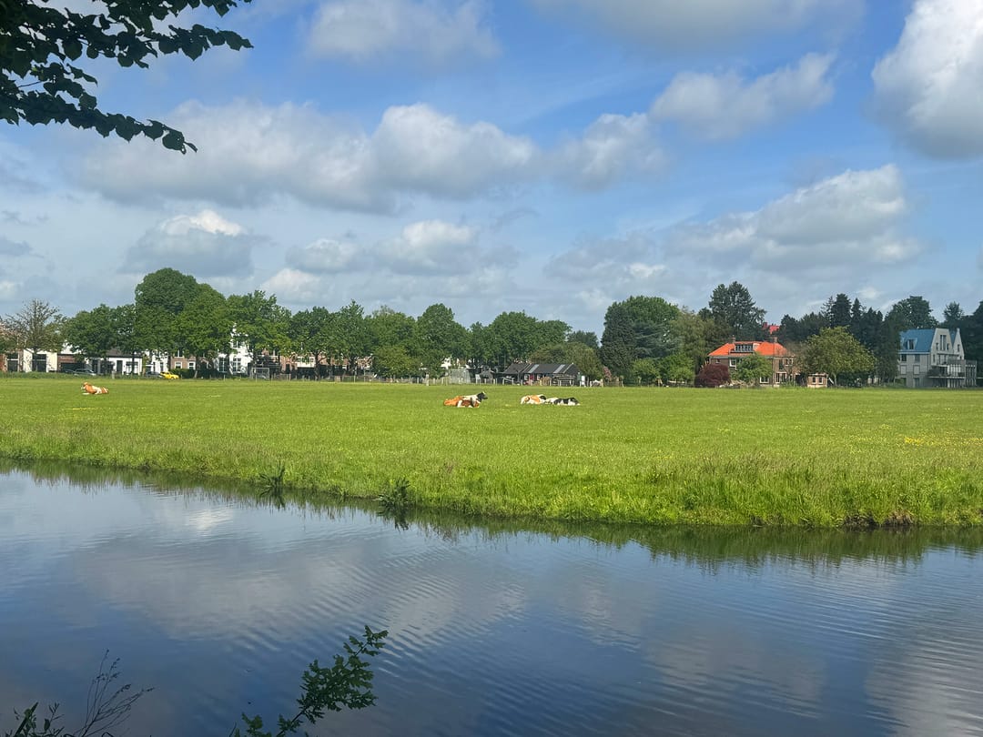 Photo 28 of Noordereinde 63