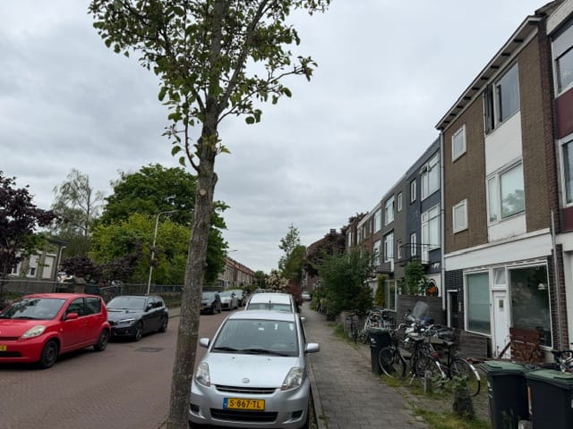 Bekijk foto 3 van Citroenvlinderstraat 45-47