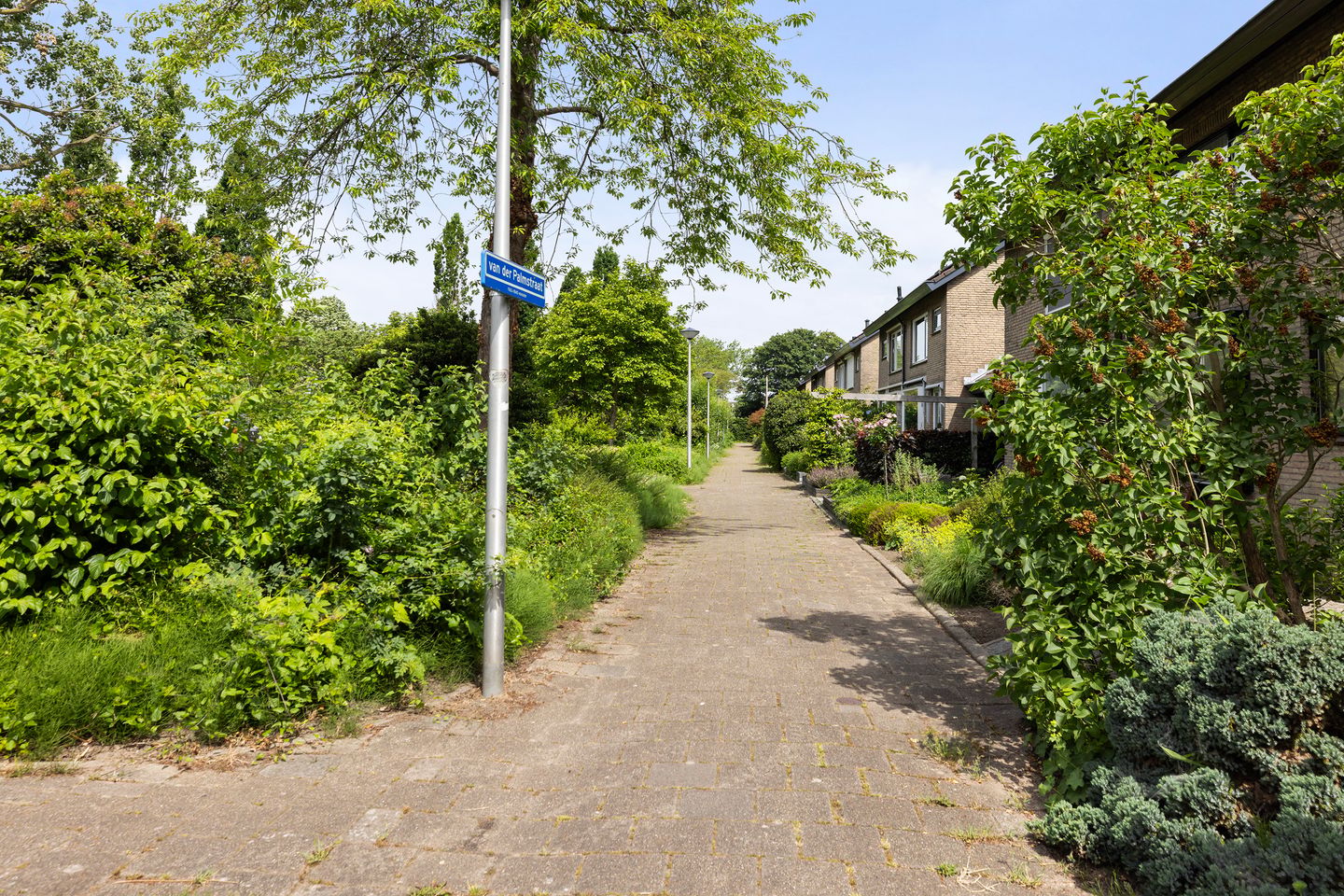 Photo 4 of van der Palmstraat 4