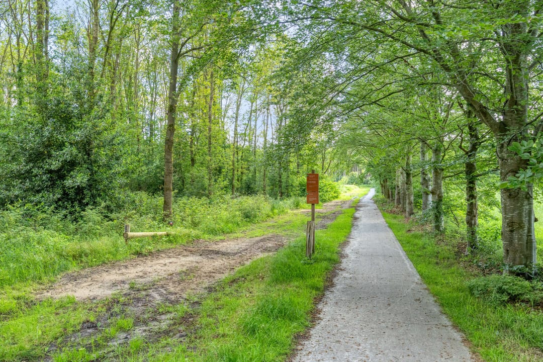Foto 47 van Nieuweweg 34