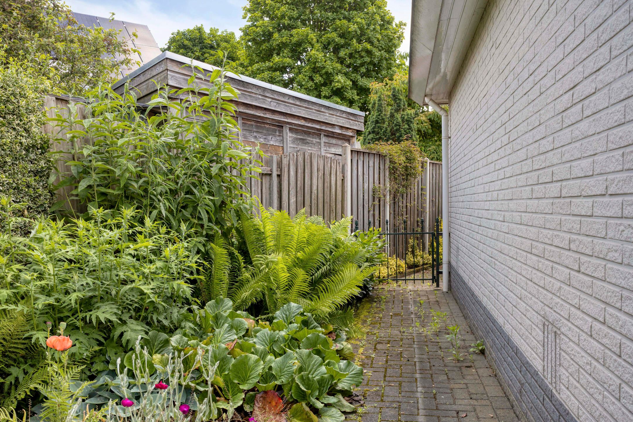 Photo 39 of Dorpergaarden 2