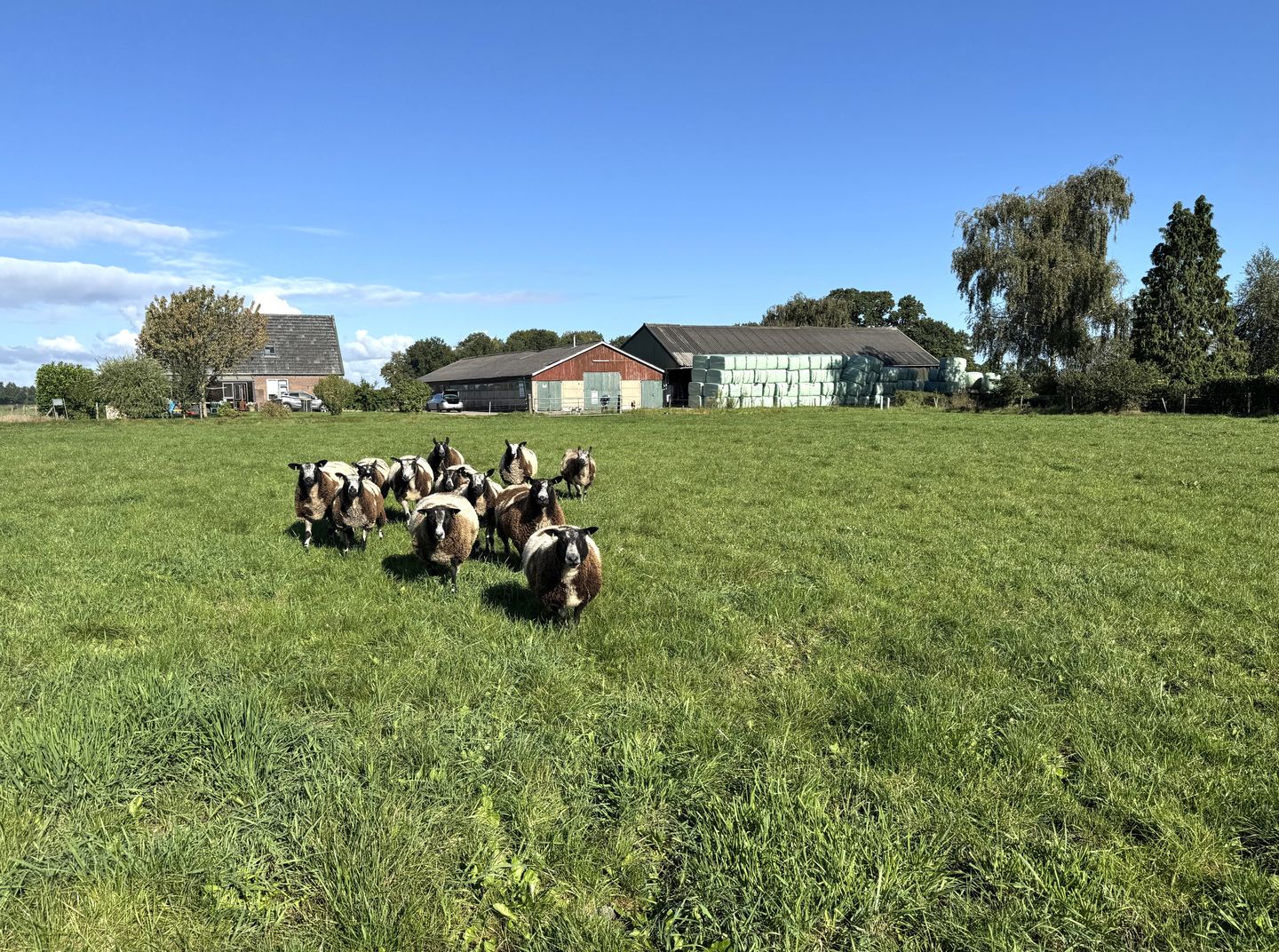 View photo 4 of Deelsum 17