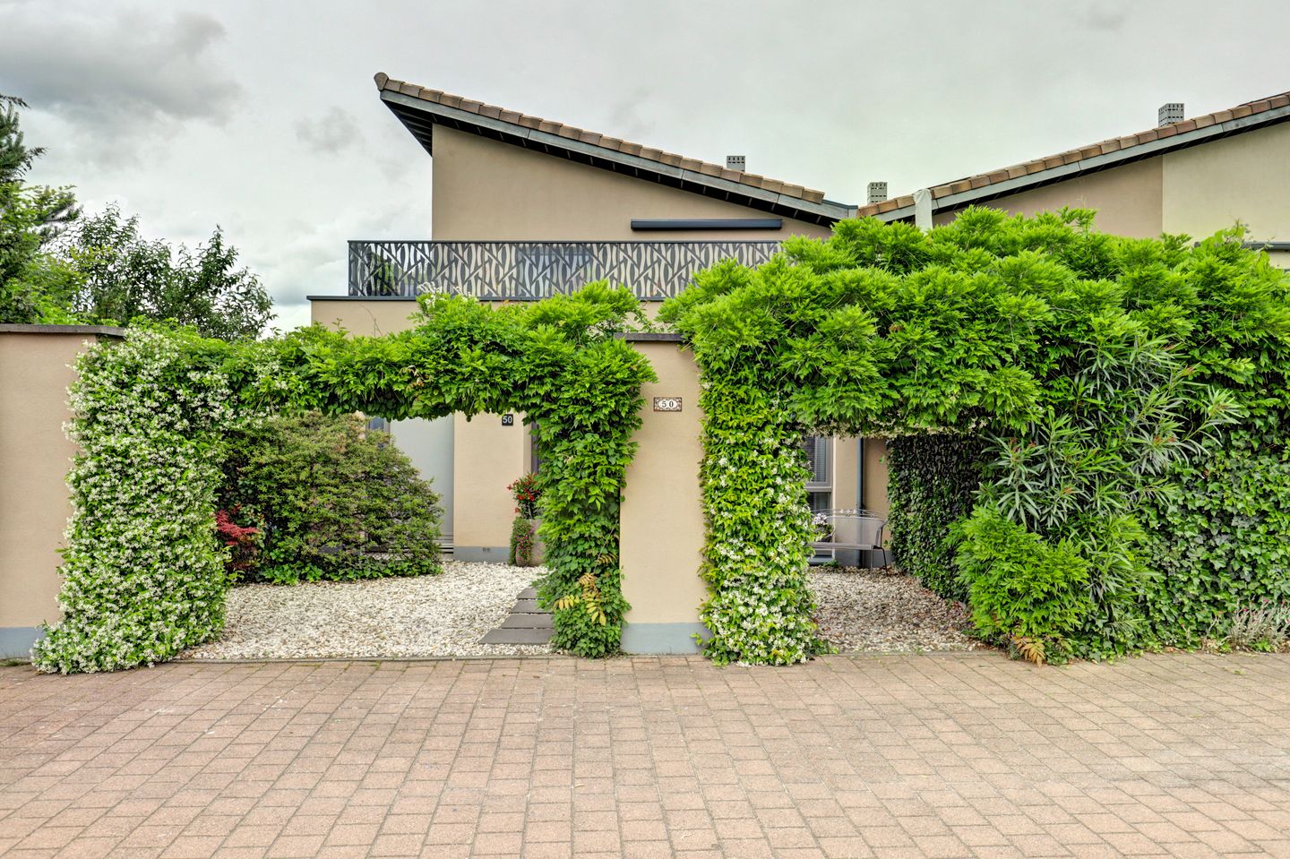Druivengaarde 50