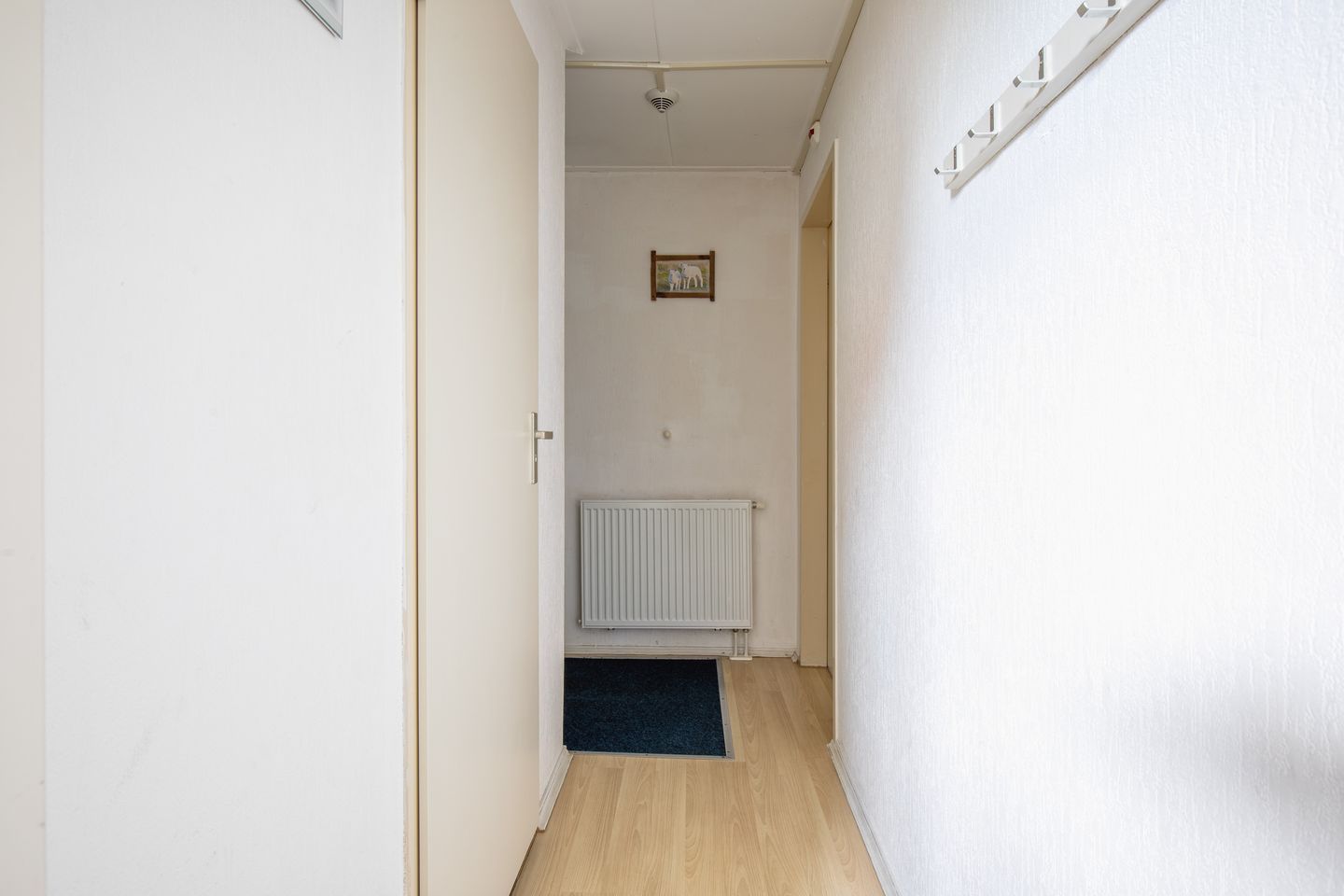 Photo 10 of Dorpsstraat 245