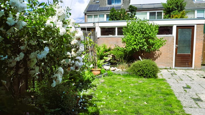 Foto 4 van Albrechtstraat 30