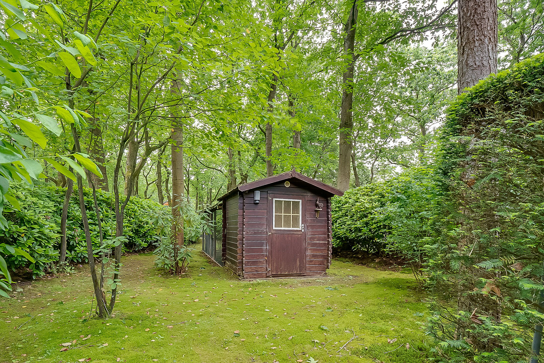 Photo 57 of Tolhuislaan 1
